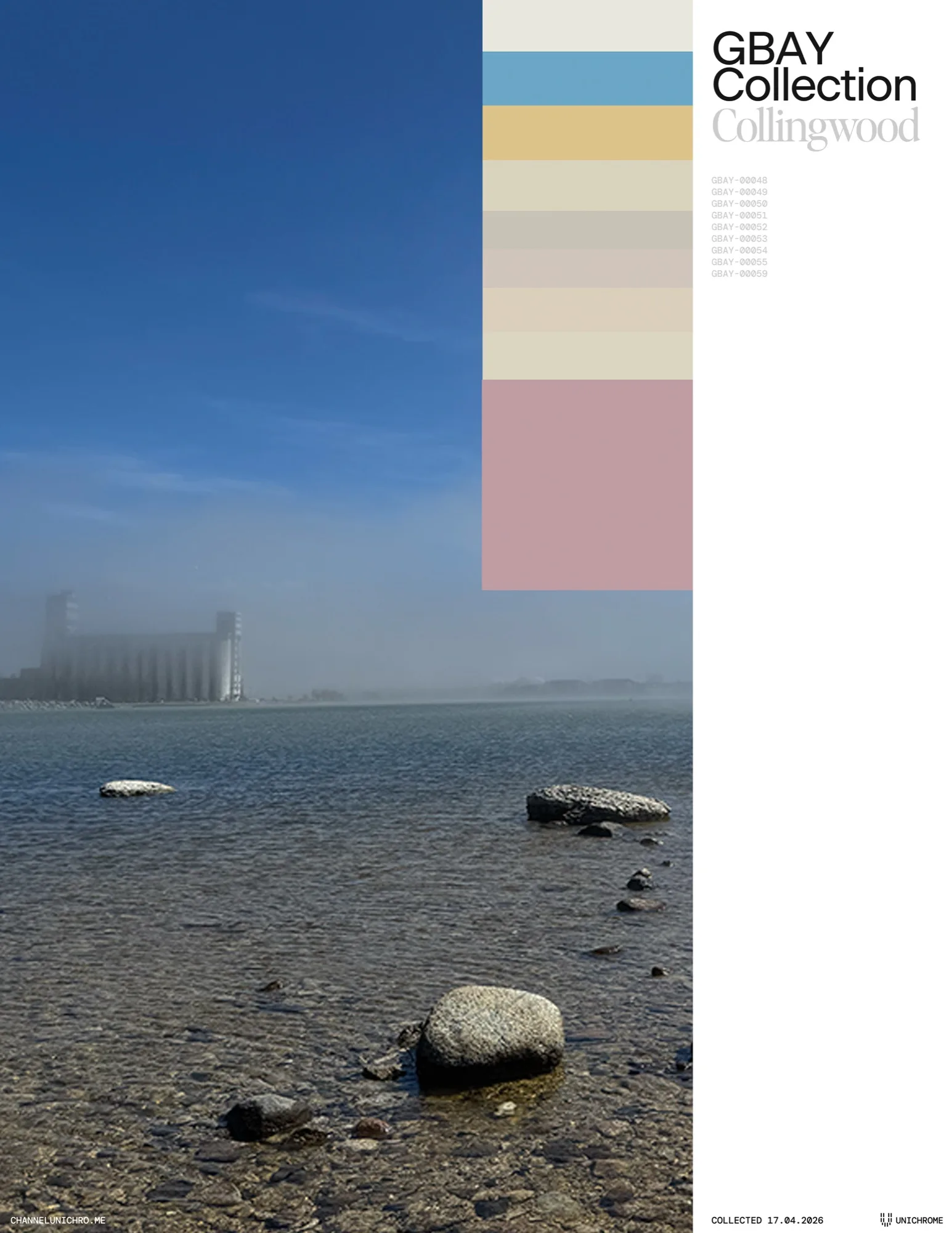 Foggy Shore